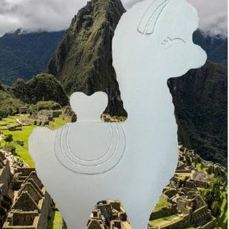 Llama — Mom&Co.