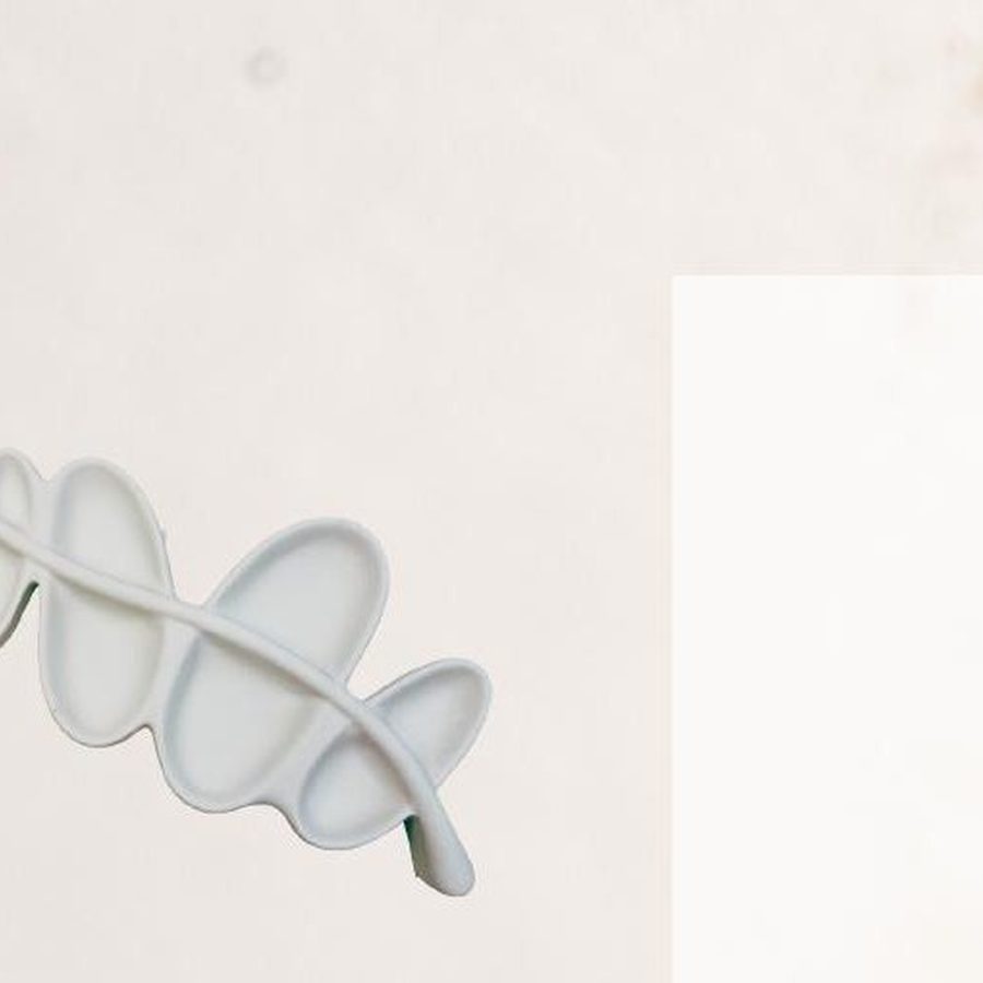 Rama de Olivo — Mom&Co.