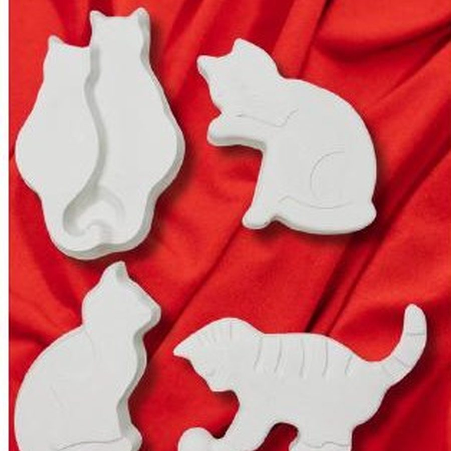 Gatos — Mom&Co.