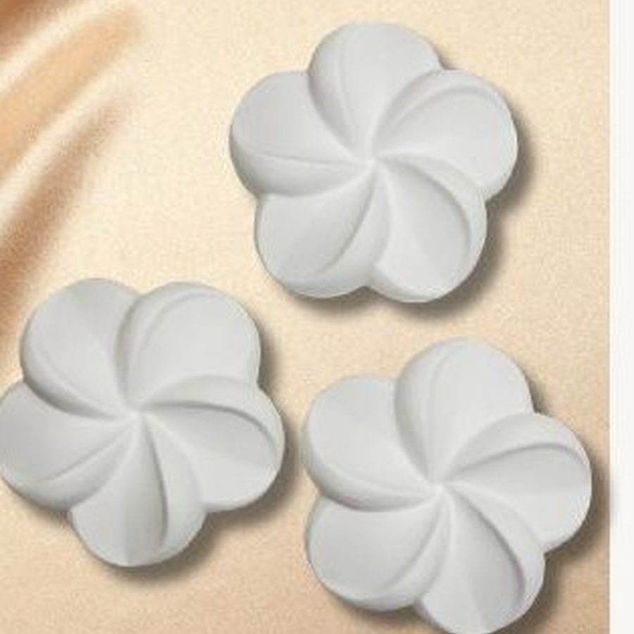 Plumeria — Mom&Co.